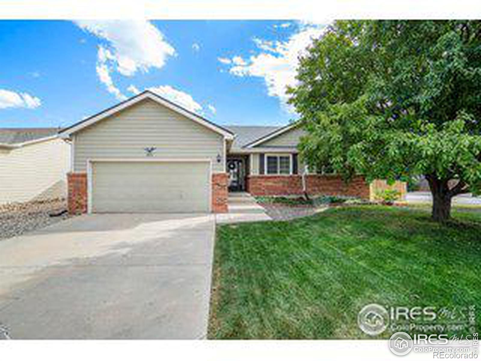 CMA Image for 879  emerald drive,Windsor, Colorado