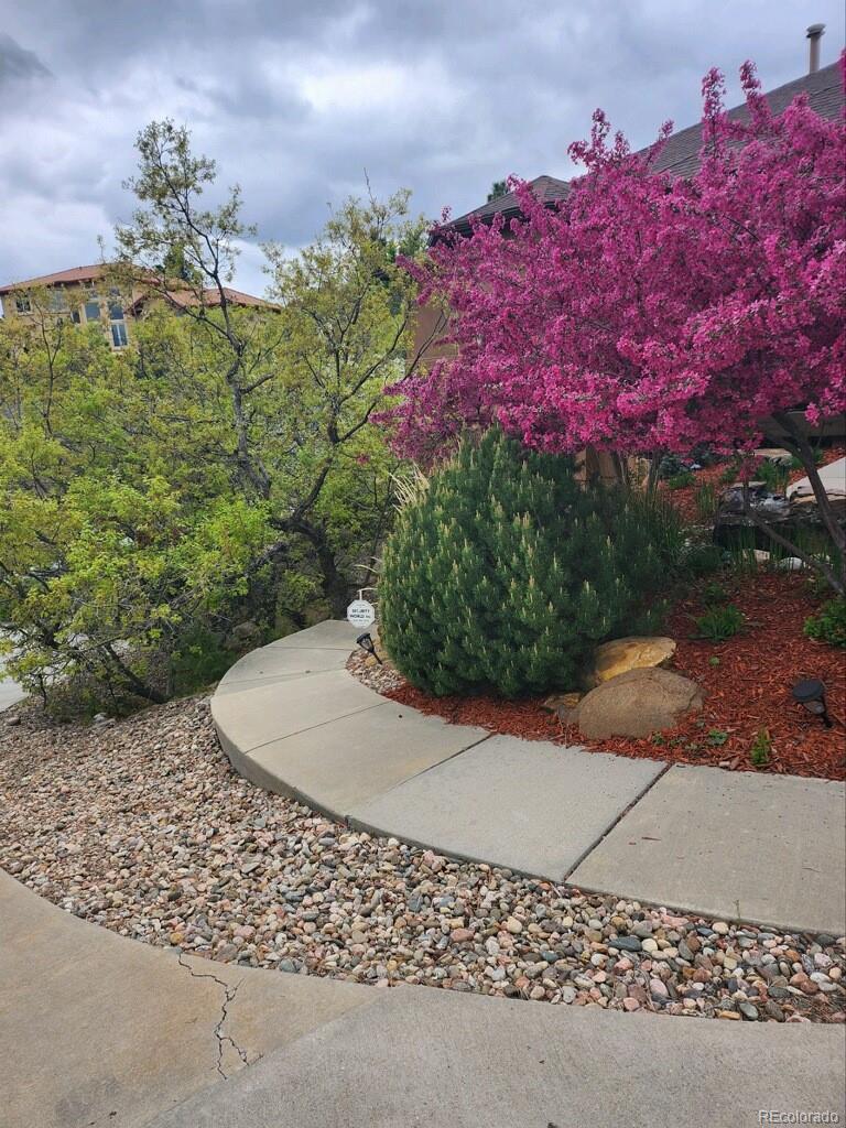 MLS Image #43 for 2145  wake forest court,colorado springs, Colorado