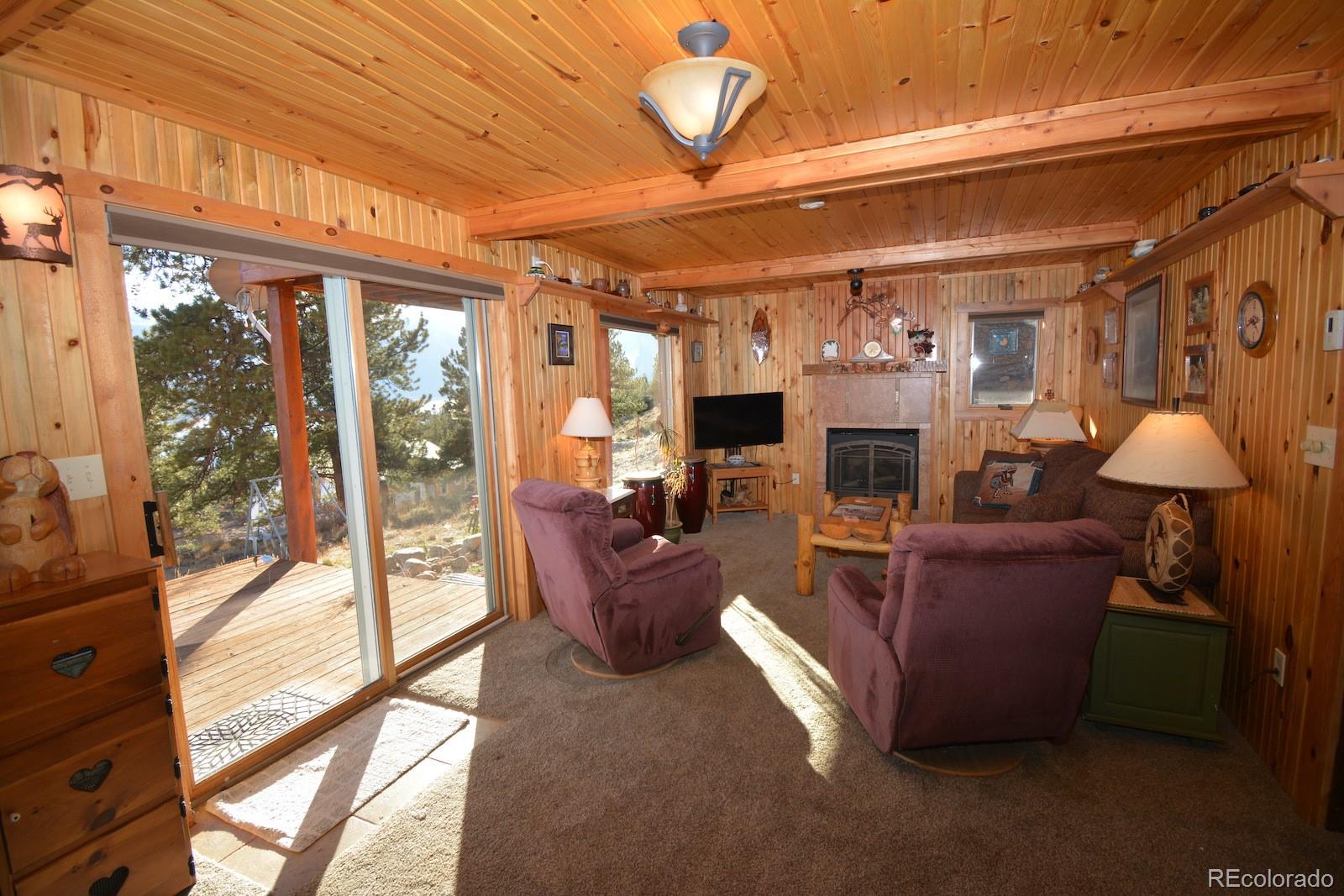 MLS Image #14 for 369  parry peak drive,twin lakes, Colorado