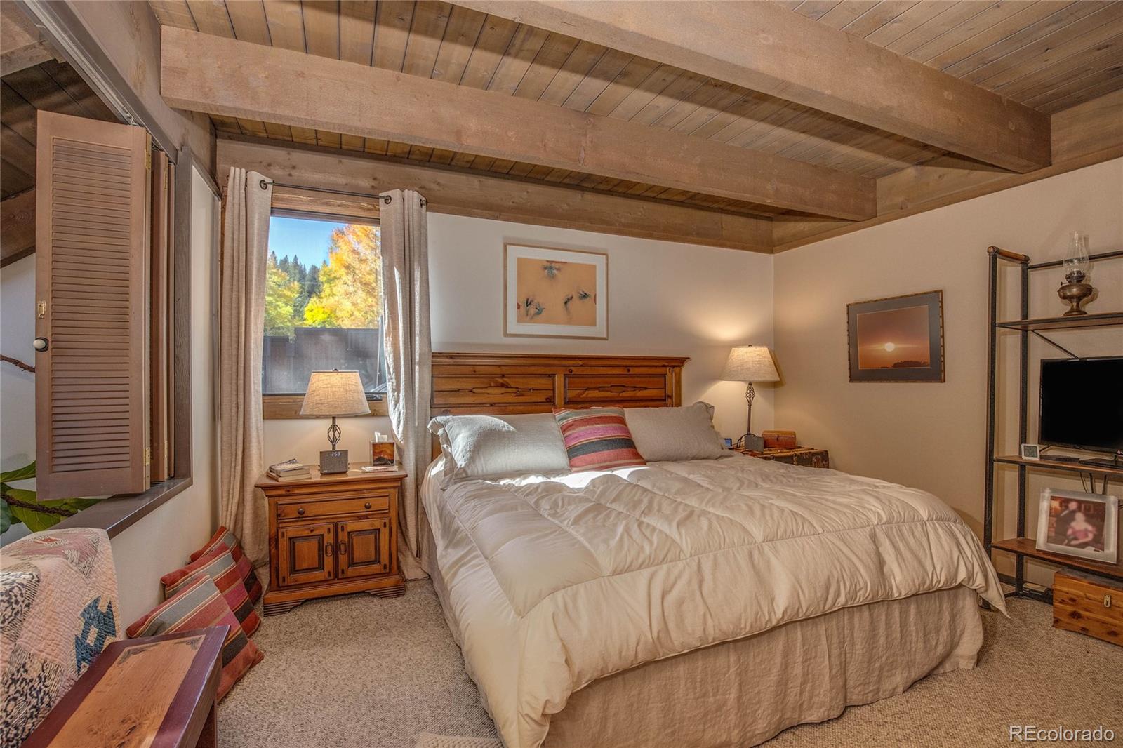 MLS Image #13 for 1436  broken lance drive 15,breckenridge, Colorado