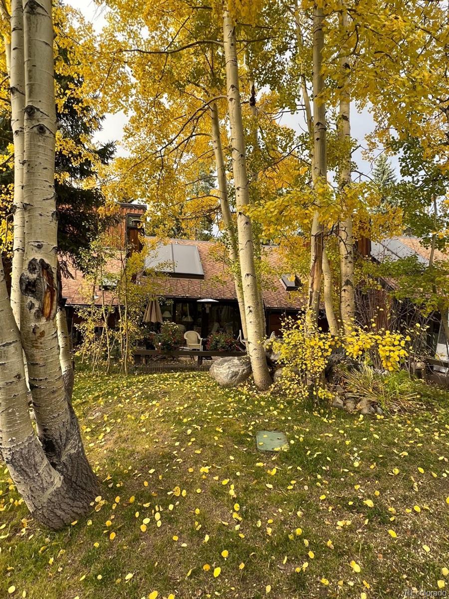 MLS Image #30 for 1436  broken lance drive 15,breckenridge, Colorado