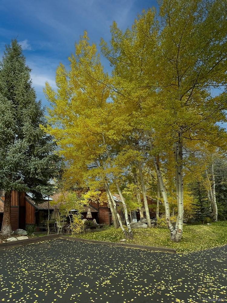 MLS Image #32 for 1436  broken lance drive 15,breckenridge, Colorado