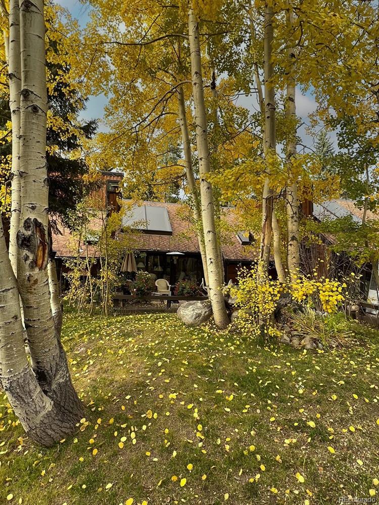 MLS Image #34 for 1436  broken lance drive,breckenridge, Colorado