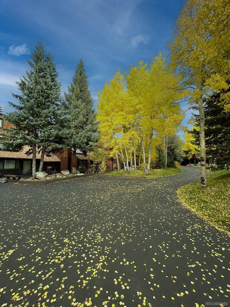 MLS Image #40 for 1436  broken lance drive 15,breckenridge, Colorado