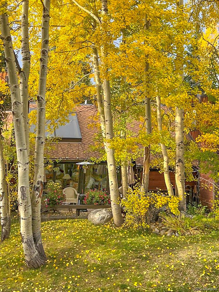 MLS Image #42 for 1436  broken lance drive 15,breckenridge, Colorado