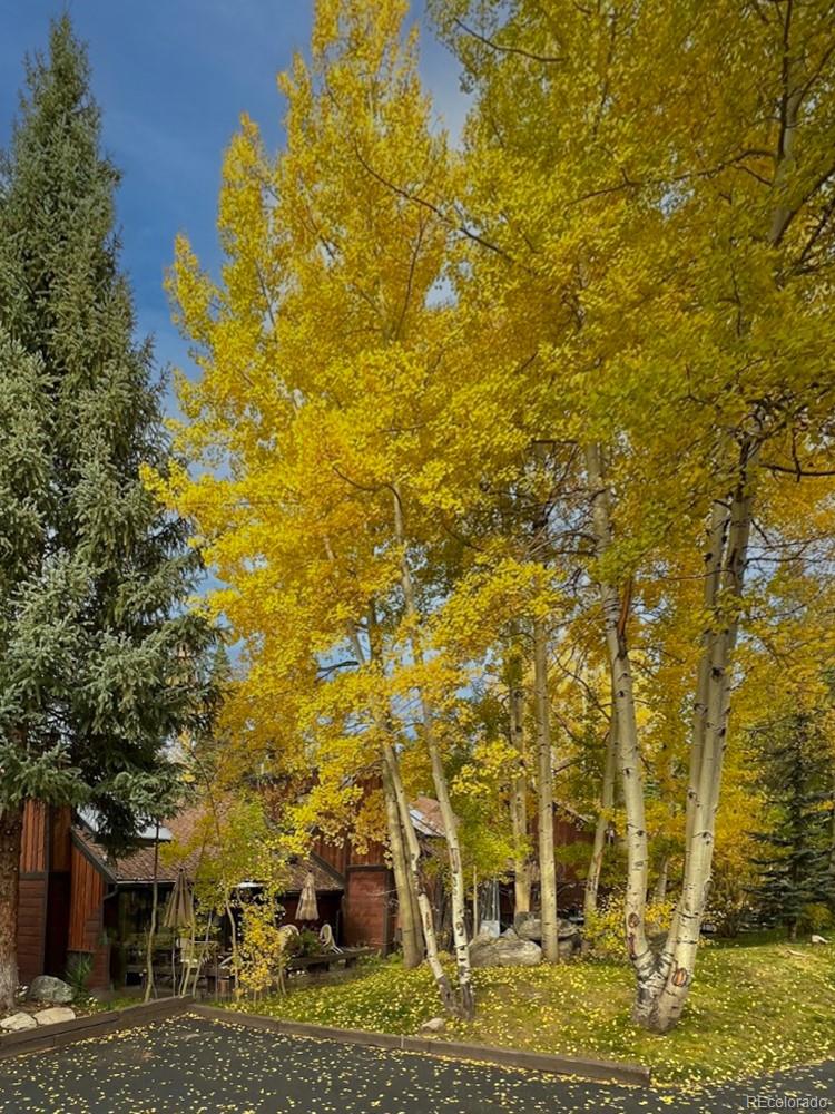 MLS Image #44 for 1436  broken lance drive,breckenridge, Colorado