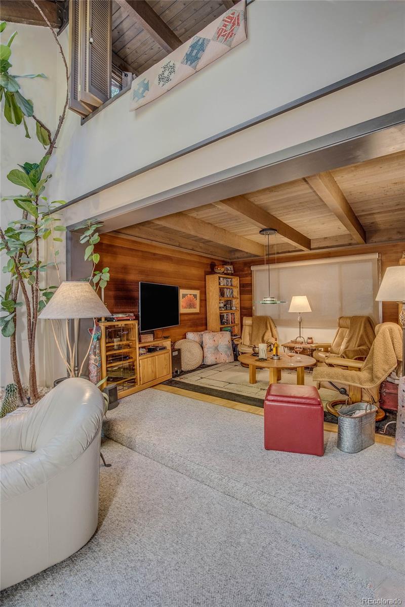 MLS Image #8 for 1436  broken lance drive 15,breckenridge, Colorado