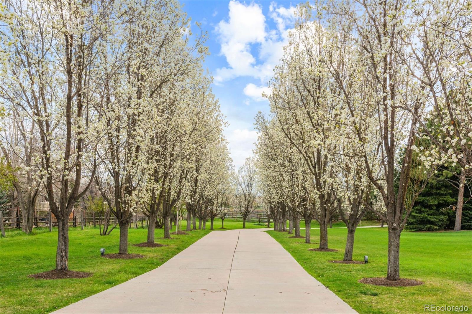 MLS Image #48 for 14  random road,cherry hills village, Colorado