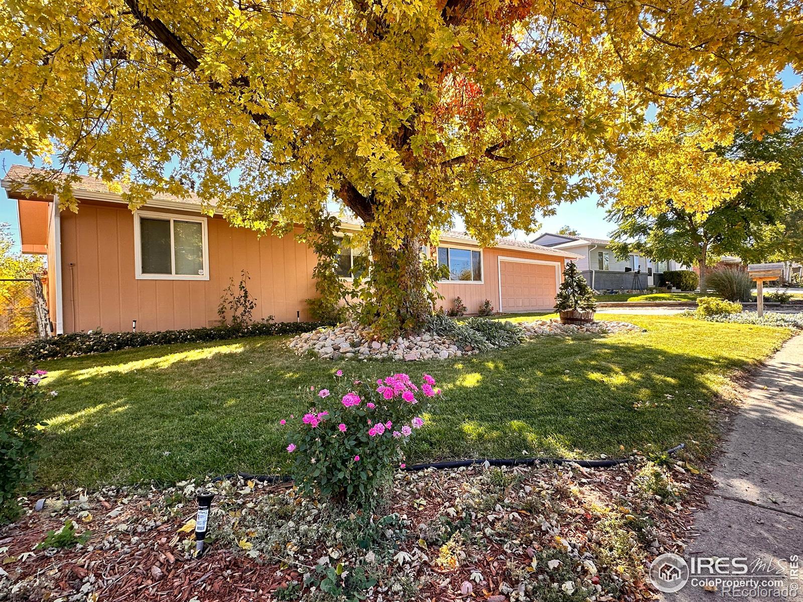 MLS Image #3 for 726 s del norte avenue,loveland, Colorado