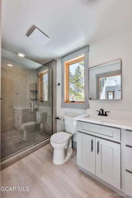 MLS Image #39 for 209  little pierre avenue,fraser, Colorado