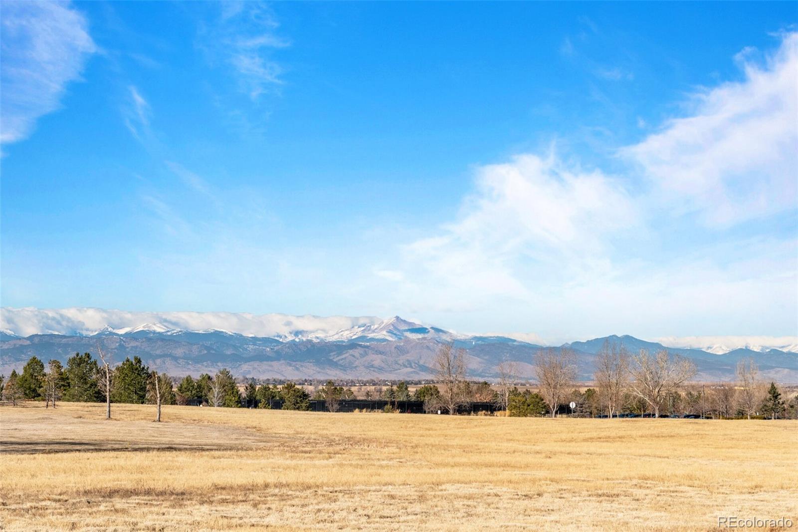 MLS Image #4 for 16351  somerset drive,broomfield, Colorado