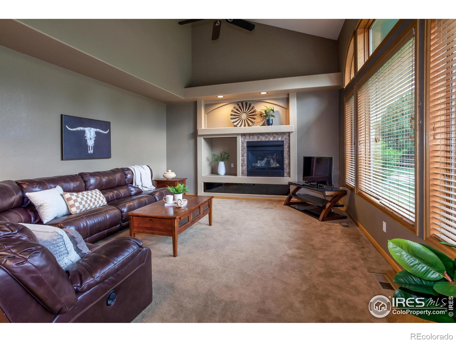 MLS Image #15 for 258  camino del mundo ,fort collins, Colorado