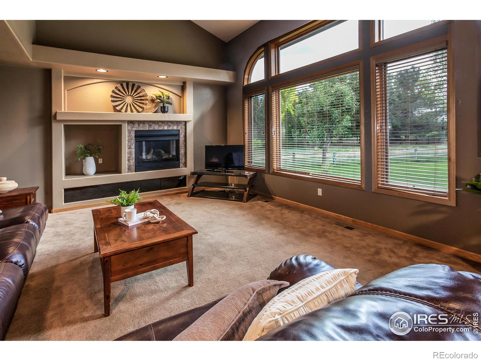 MLS Image #17 for 258  camino del mundo ,fort collins, Colorado