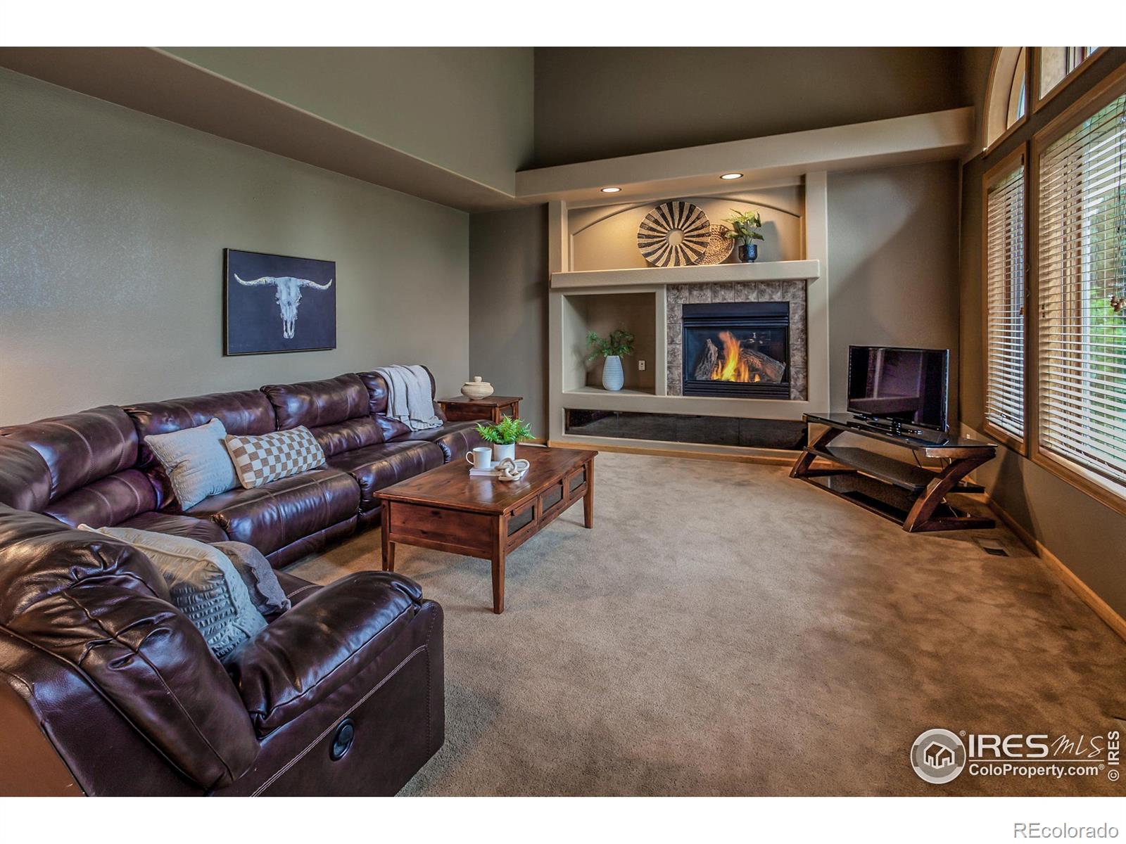 MLS Image #18 for 258  camino del mundo ,fort collins, Colorado