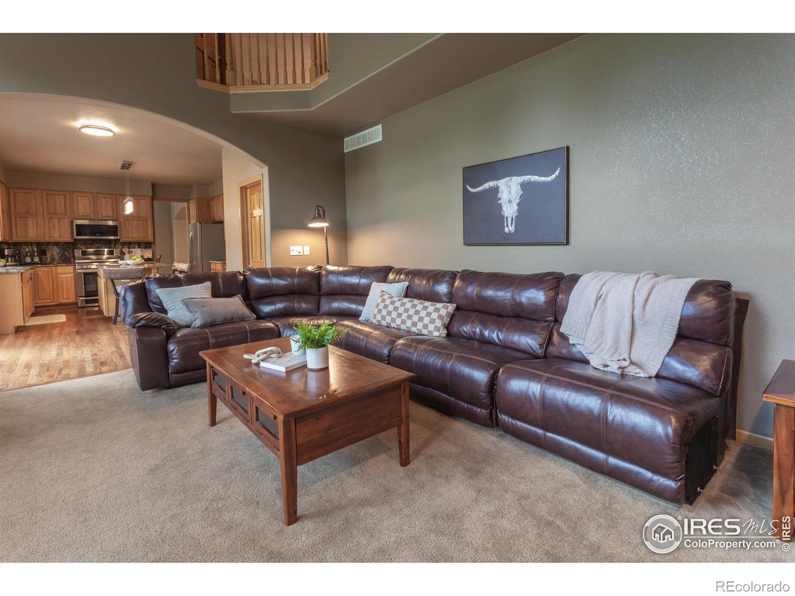 MLS Image #19 for 258  camino del mundo ,fort collins, Colorado