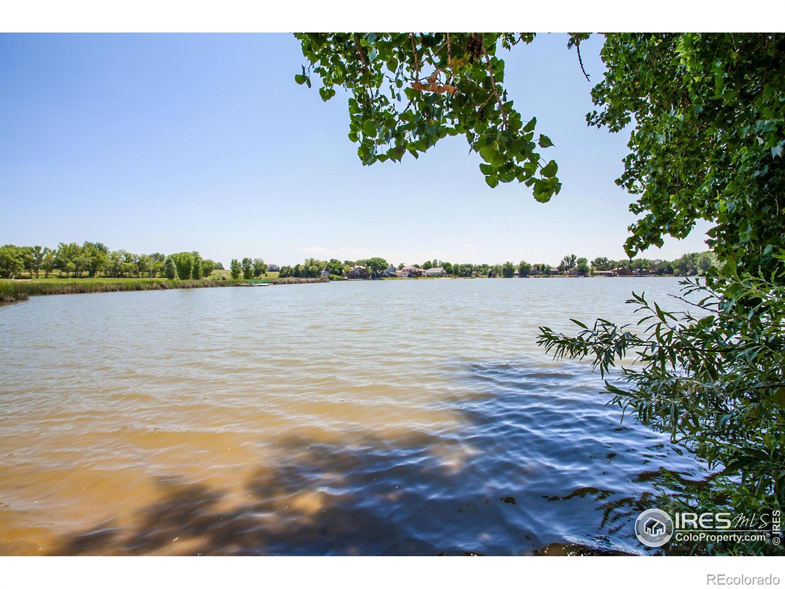 MLS Image #33 for 258  camino del mundo ,fort collins, Colorado