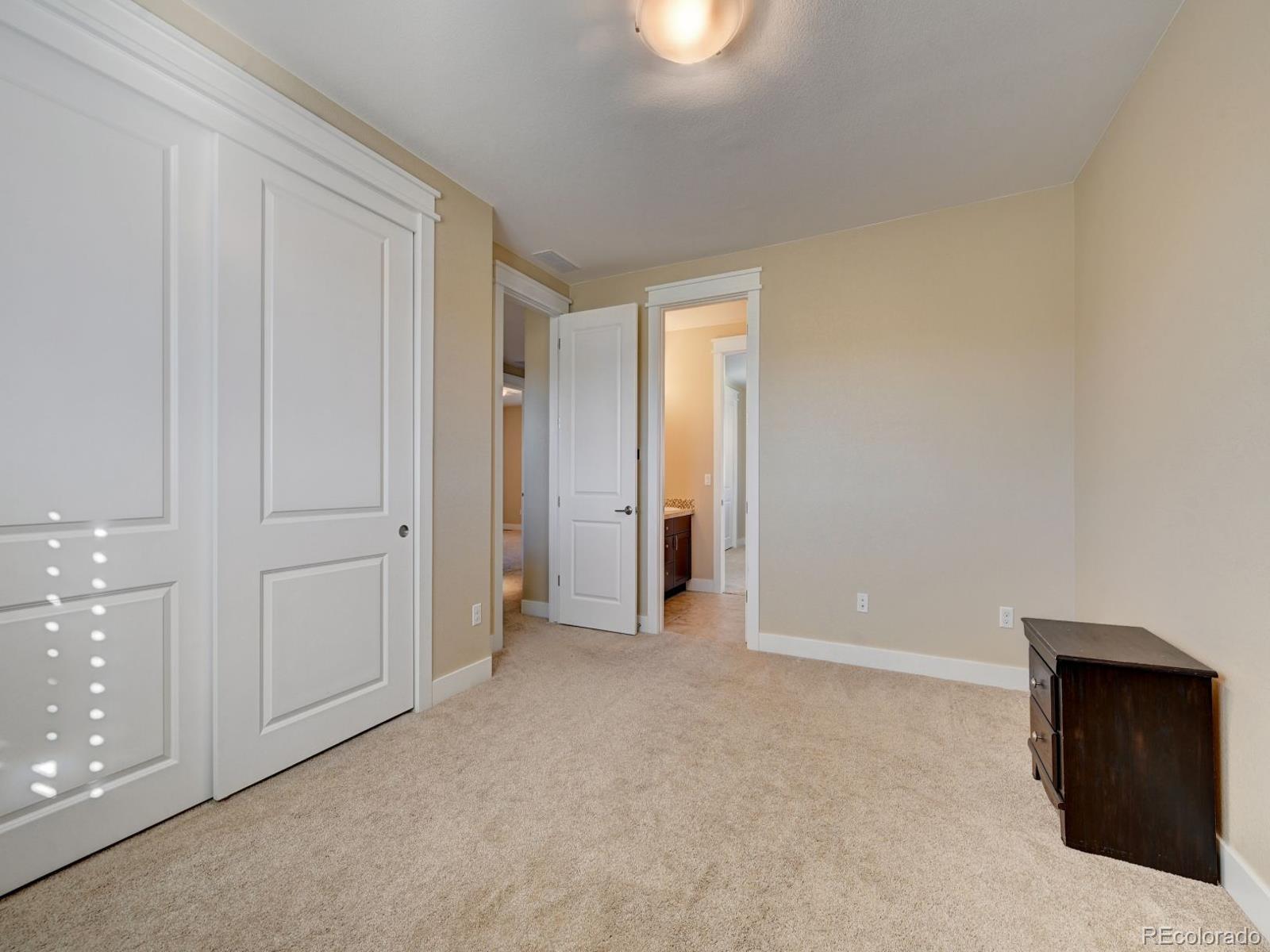 MLS Image #20 for 249  castlemaine court,castle rock, Colorado