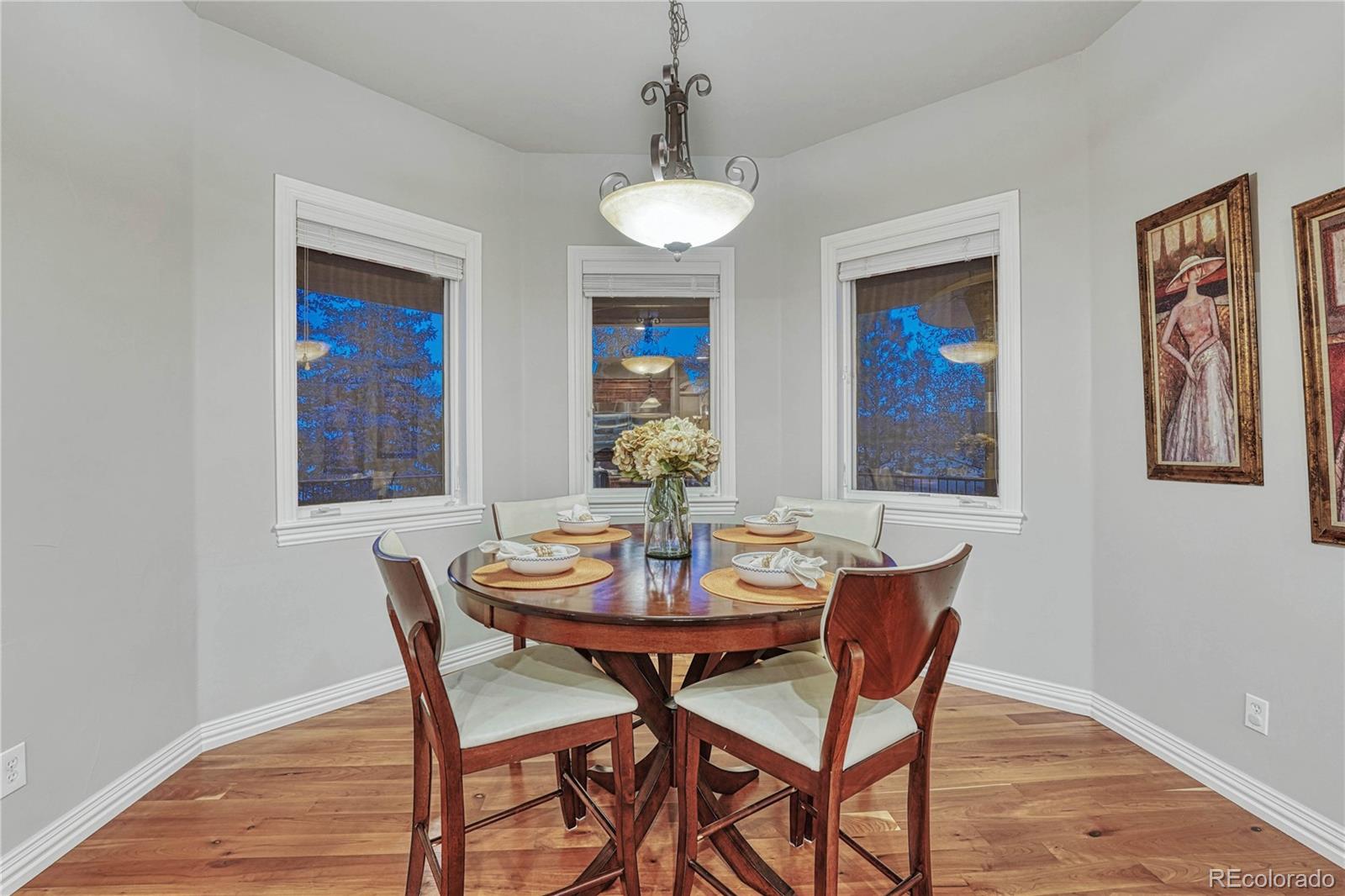 MLS Image #10 for 24  brookhaven lane,littleton, Colorado