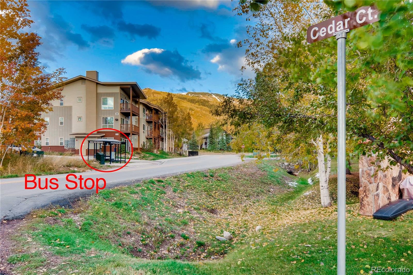 MLS Image #14 for 12  cypress court,steamboat springs, Colorado