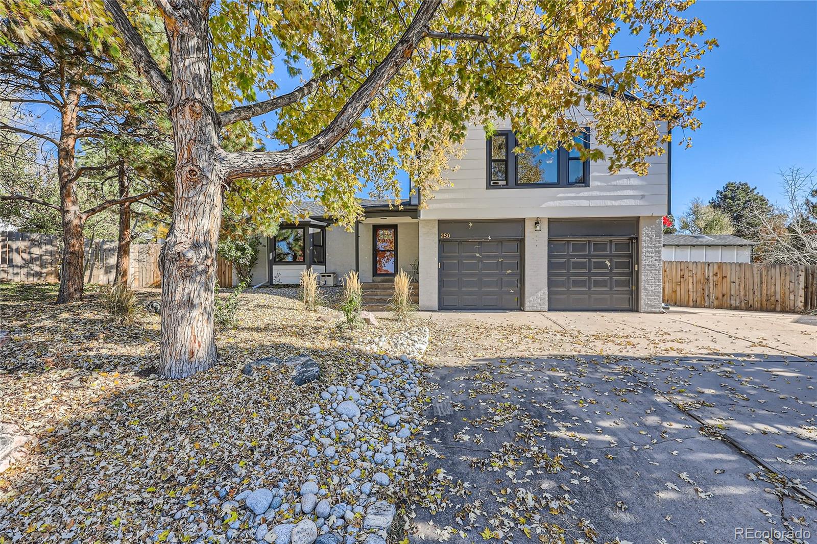 MLS Image #0 for 250  johnson court,castle rock, Colorado