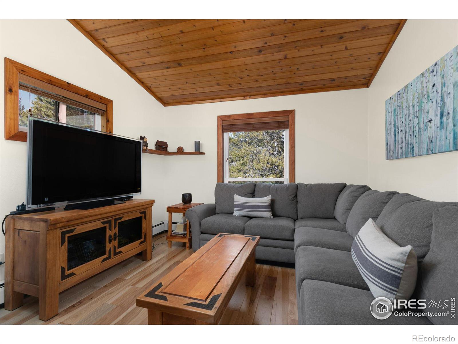 MLS Image #15 for 104 e dory way,black hawk, Colorado