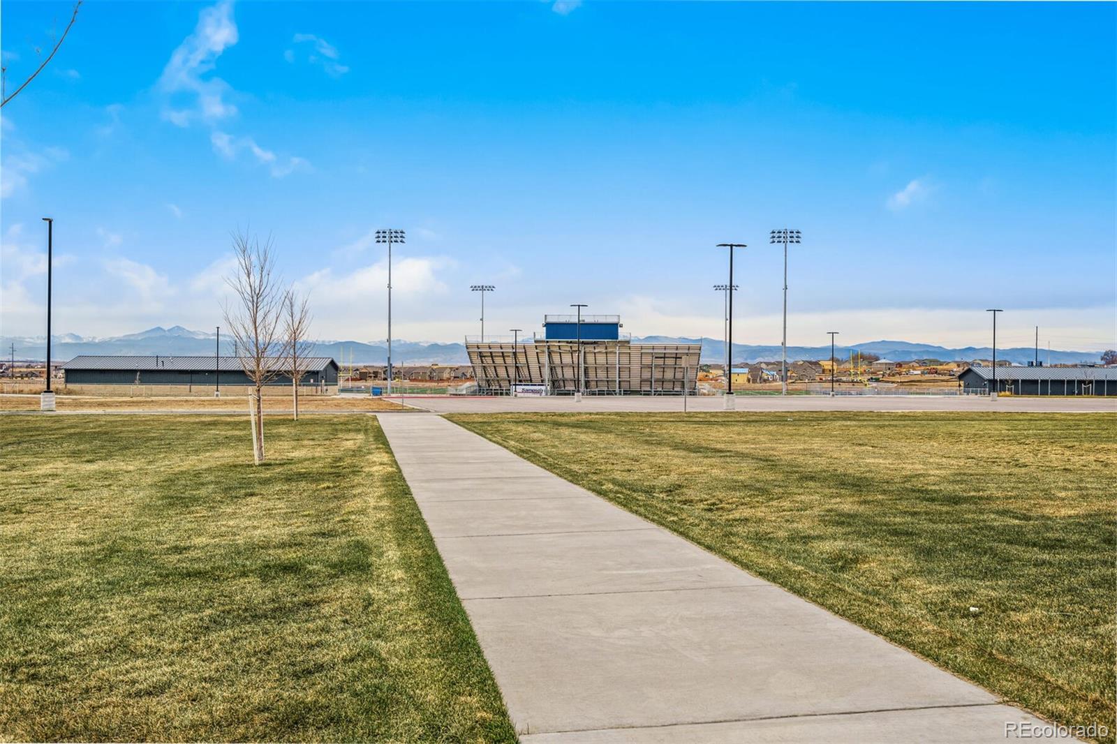 MLS Image #38 for 449  3rd street,severance, Colorado