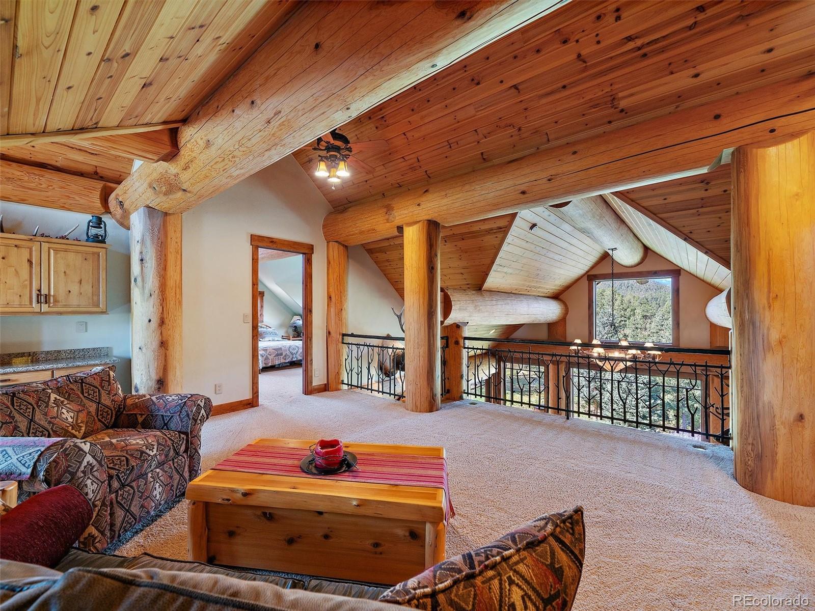 MLS Image #11 for 451  bear meadow trail,evergreen, Colorado