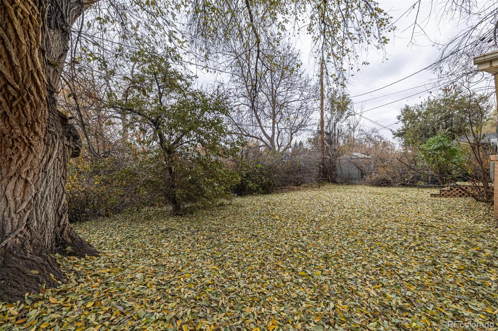 MLS Image #37 for 550 s 42nd street,boulder, Colorado