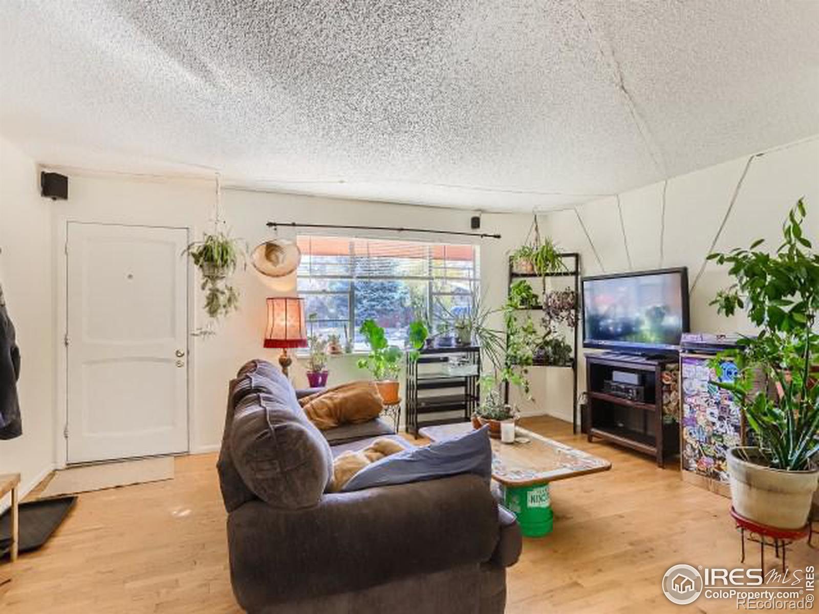 MLS Image #3 for 1295  aikins way,boulder, Colorado