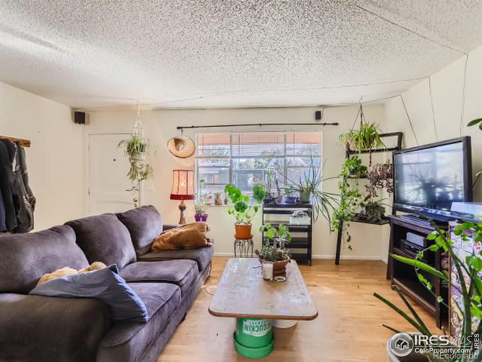 MLS Image #5 for 1295  aikins way,boulder, Colorado