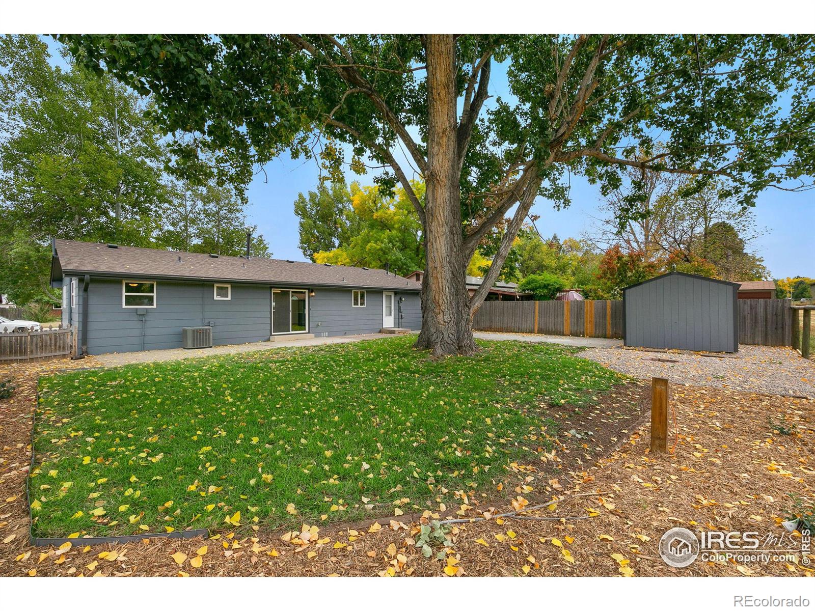 MLS Image #20 for 421  franklin street,fort collins, Colorado