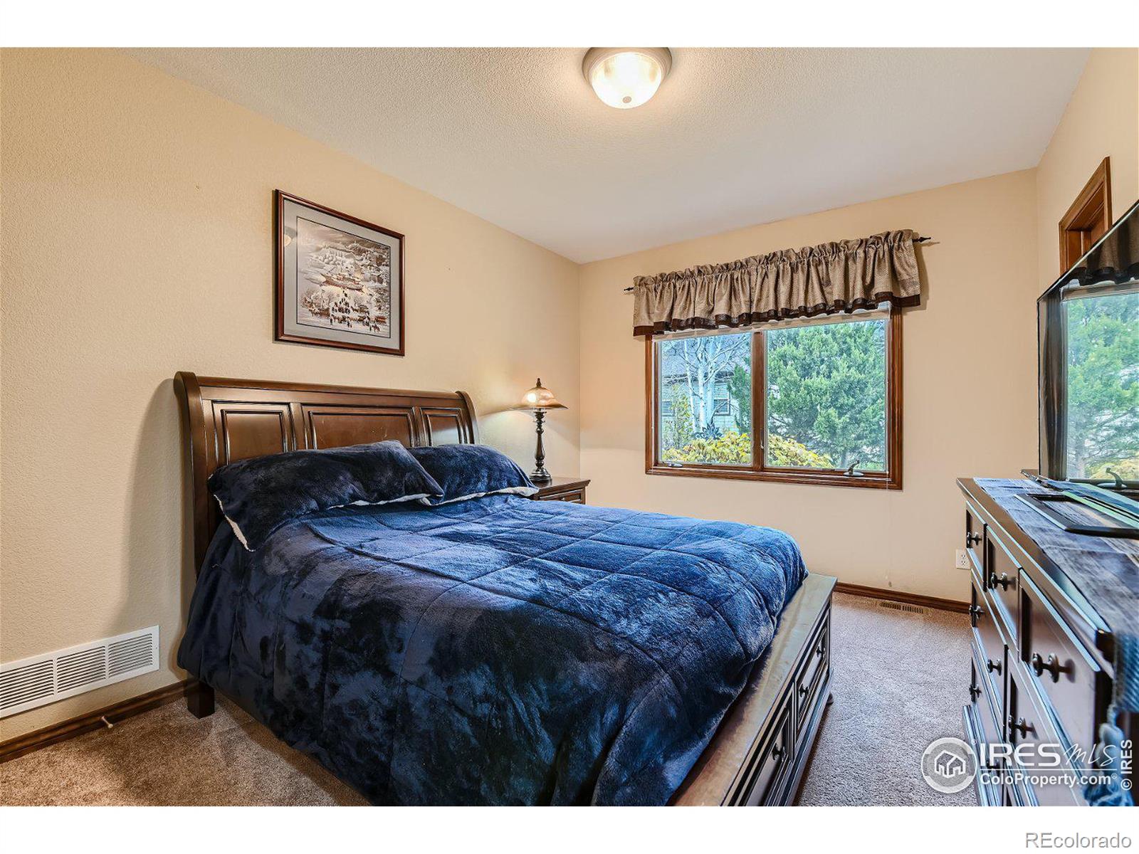 MLS Image #22 for 1443  folsum drive,windsor, Colorado