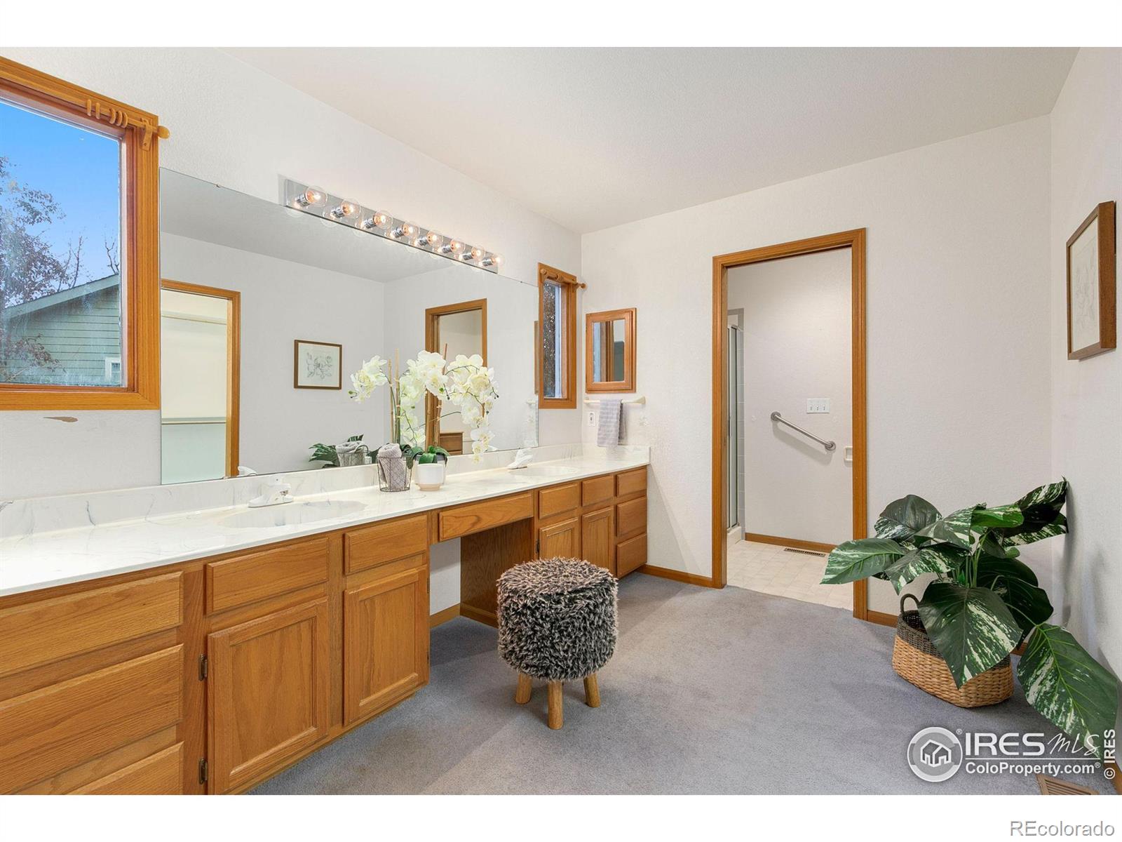 MLS Image #13 for 2654  covington court,fort collins, Colorado