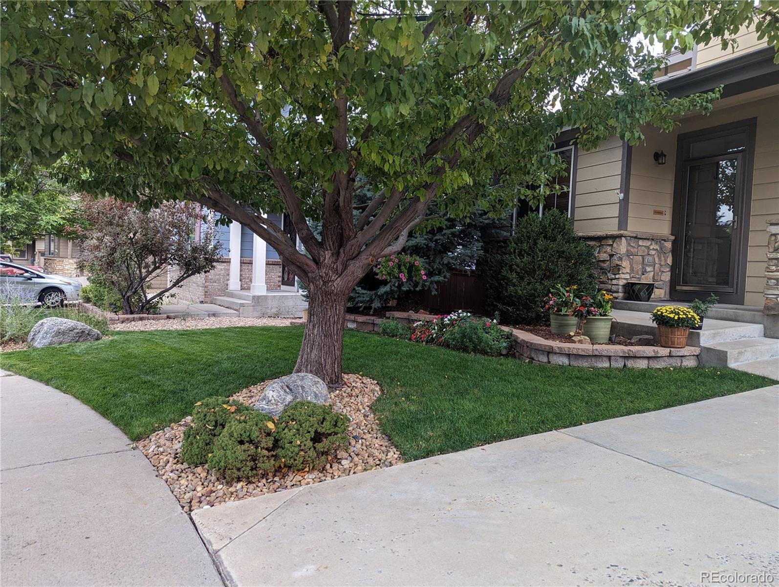 MLS Image #3 for 10519  westcliff way,highlands ranch, Colorado