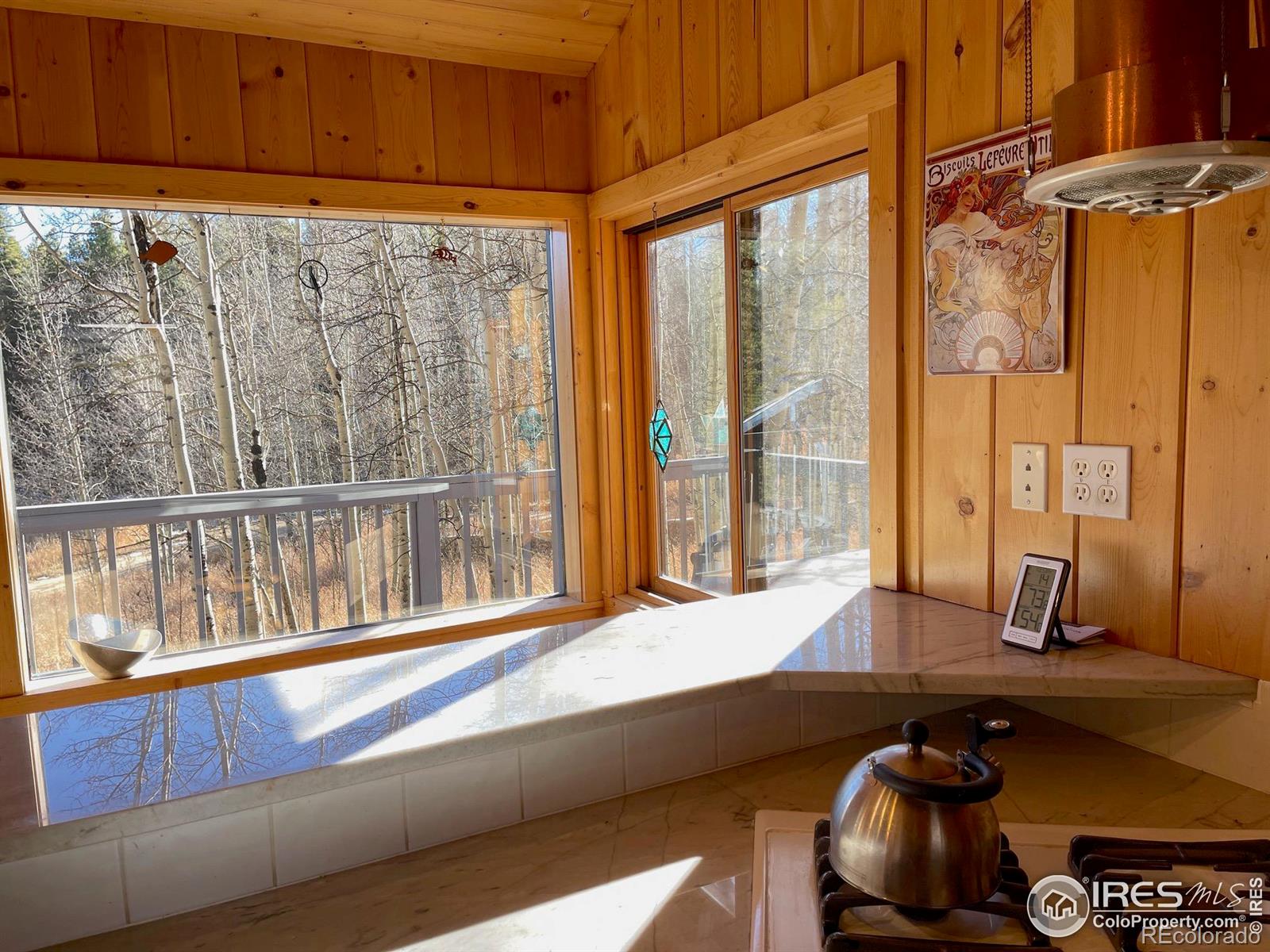 MLS Image #8 for 234  aspen circle,black hawk, Colorado