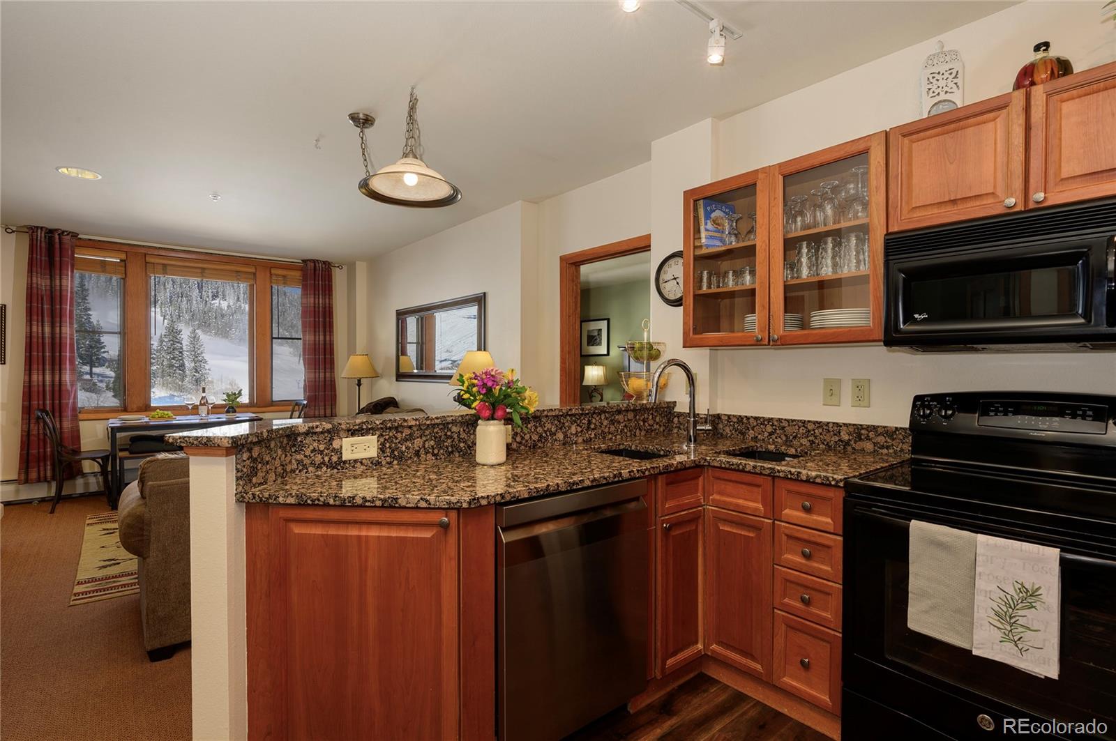 MLS Image #10 for 201  zephyr way,winter park, Colorado