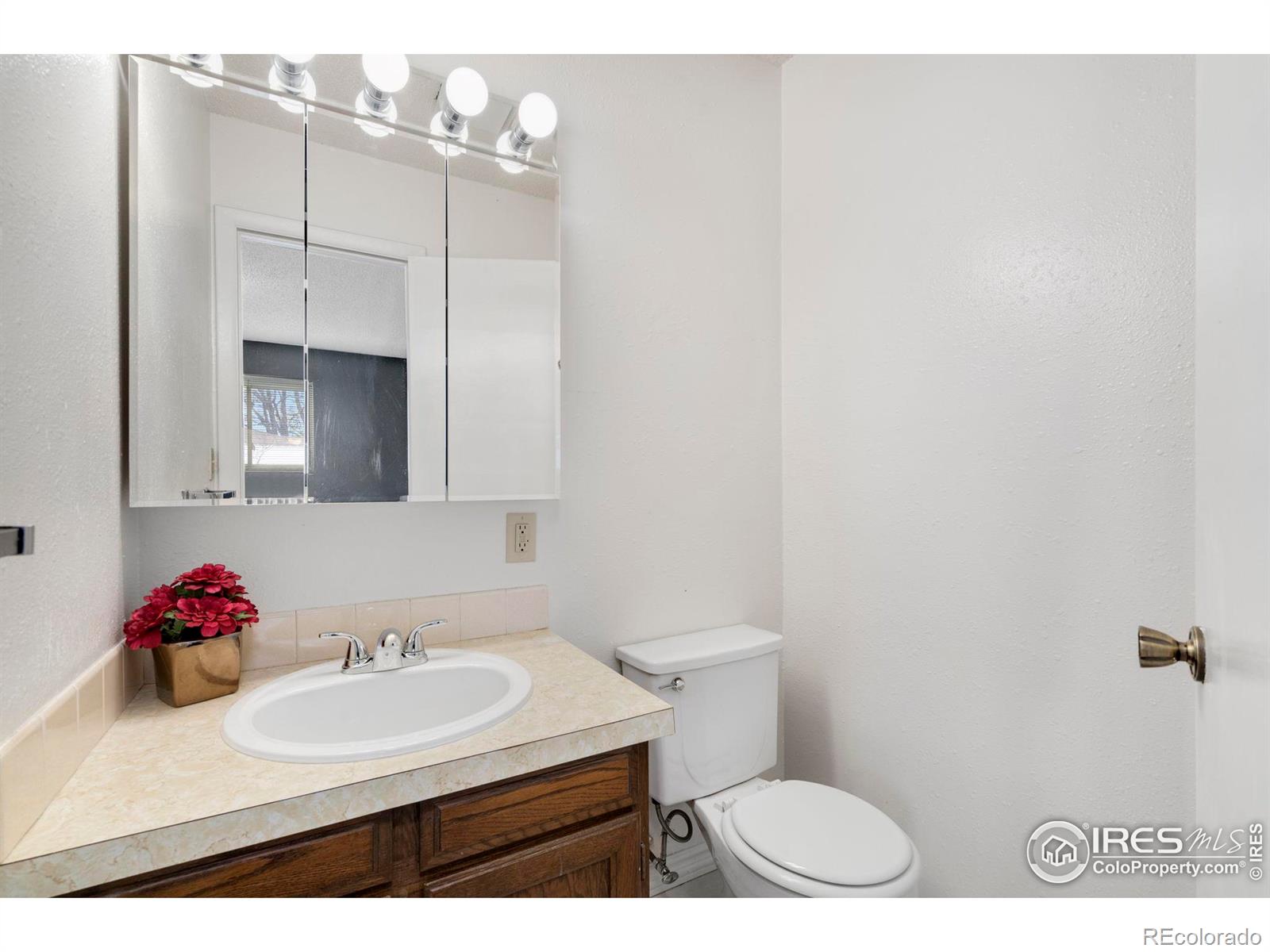 MLS Image #13 for 2432  tupelo drive,loveland, Colorado