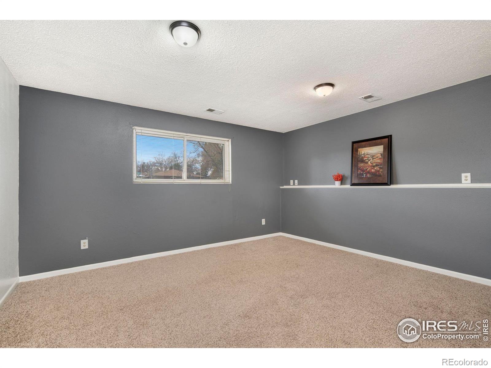 MLS Image #19 for 2432  tupelo drive,loveland, Colorado