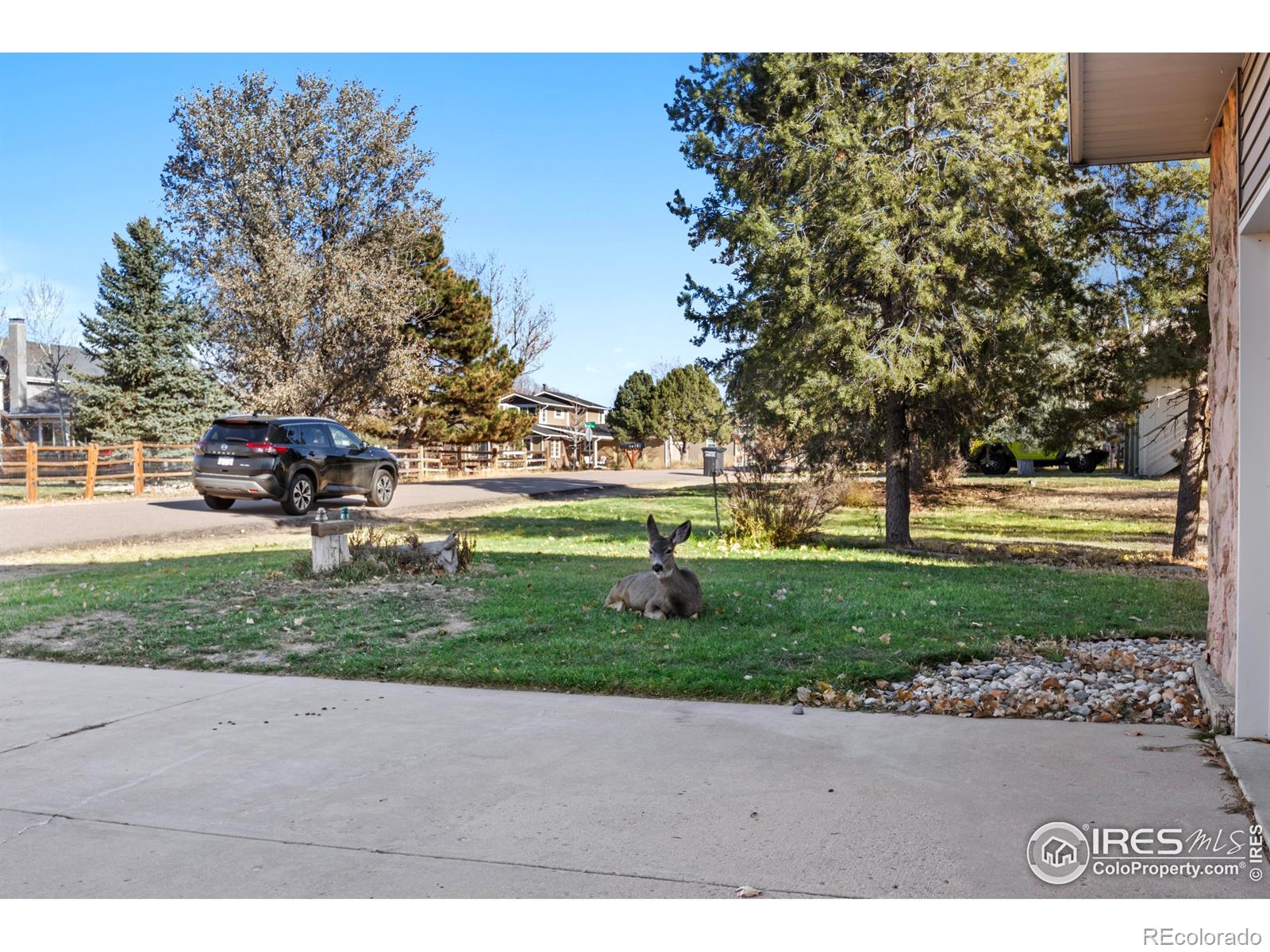 Report Image for 7209 N Hyperion Way,Parker, Colorado