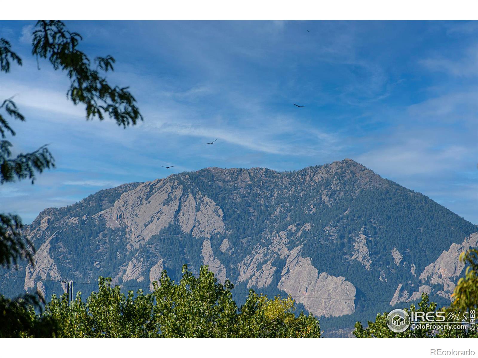 MLS Image #11 for 8003  sagebrush court,boulder, Colorado