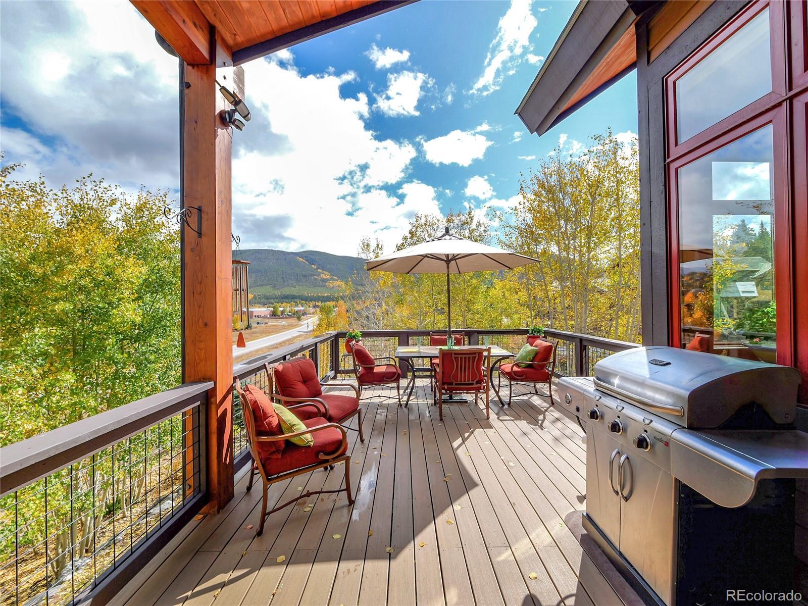 MLS Image #15 for 21  raindance trail,dillon, Colorado