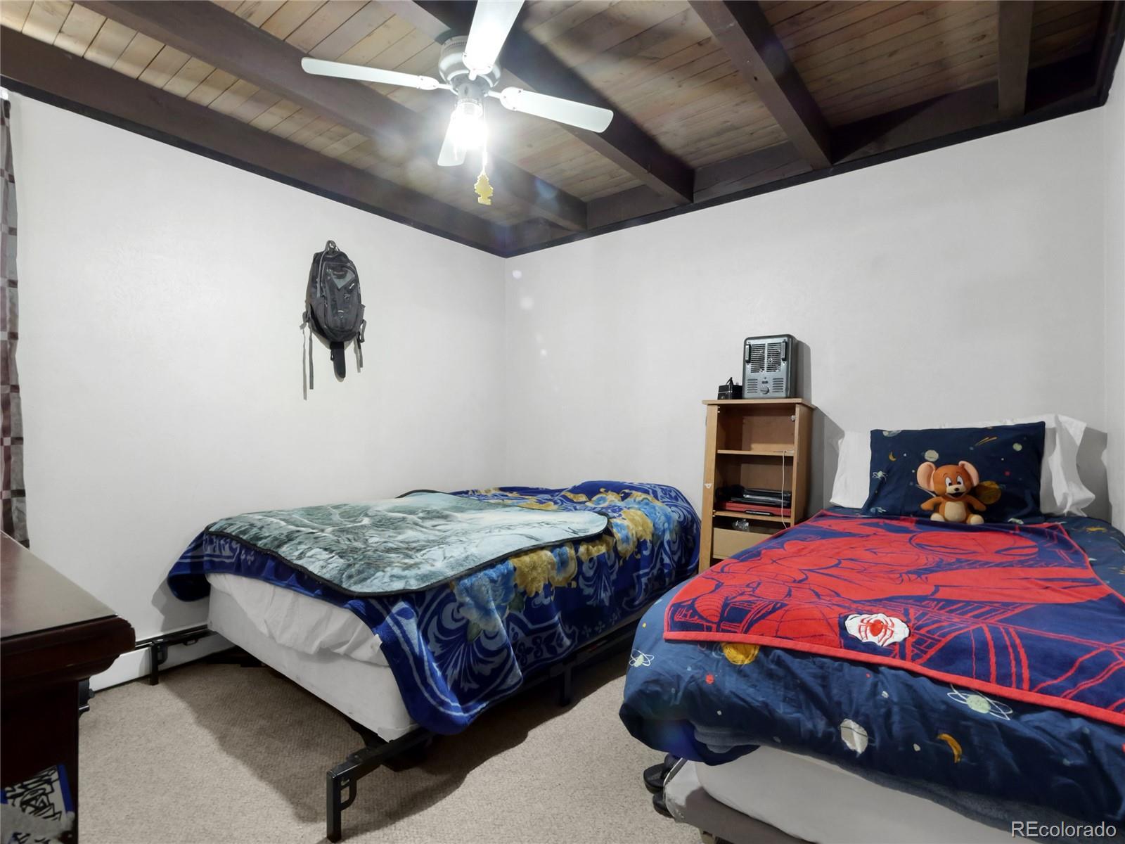 MLS Image #19 for 2100  lodge pole circle,silverthorne, Colorado