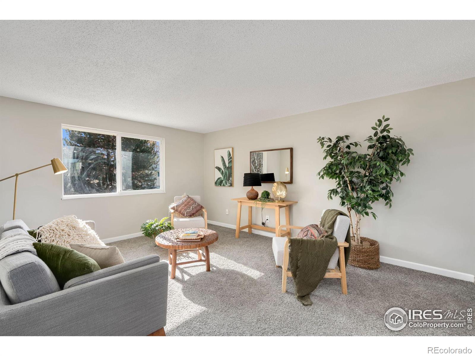 MLS Image #7 for 2019  31st street,greeley, Colorado