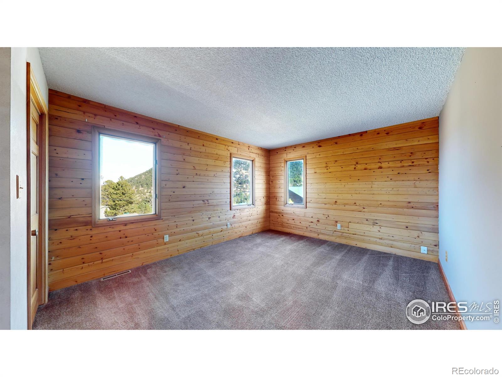 MLS Image #19 for 917  whispering pines drive,estes park, Colorado
