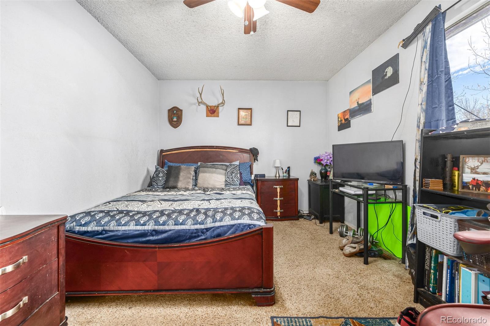 MLS Image #5 for 14743  march drive,denver, Colorado