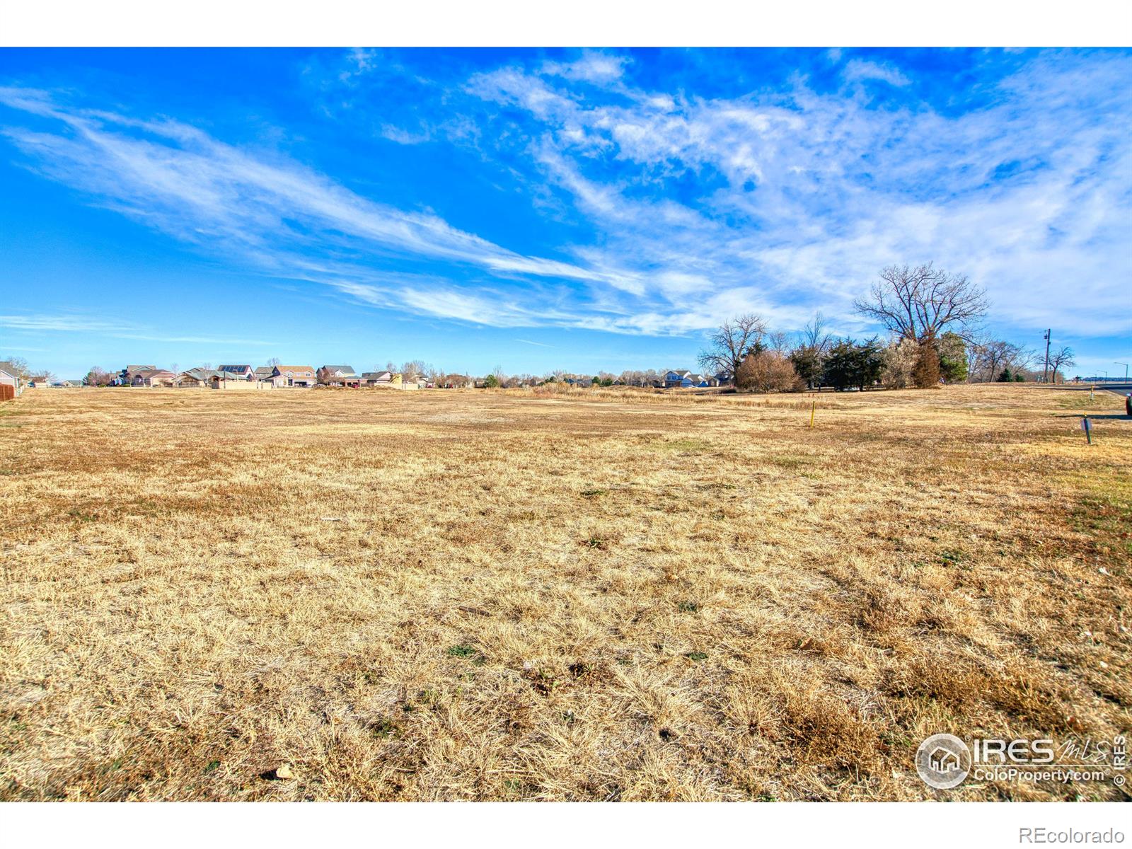 MLS Image #4 for 5765  bella rosa parkway,frederick, Colorado