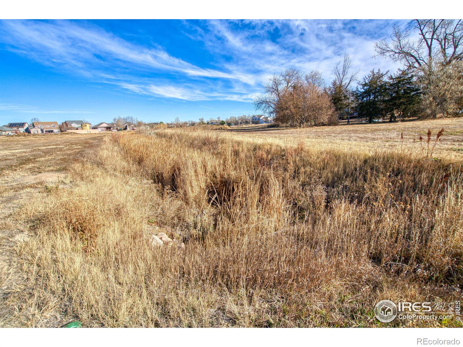 MLS Image #6 for 5765  bella rosa parkway,frederick, Colorado