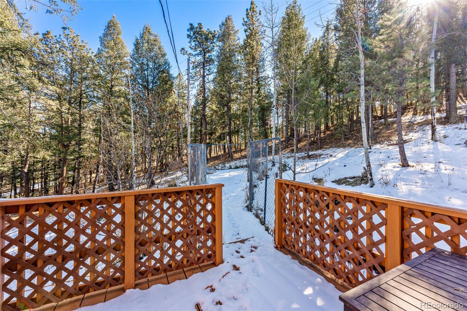 MLS Image #29 for 33782  nova road,pine, Colorado