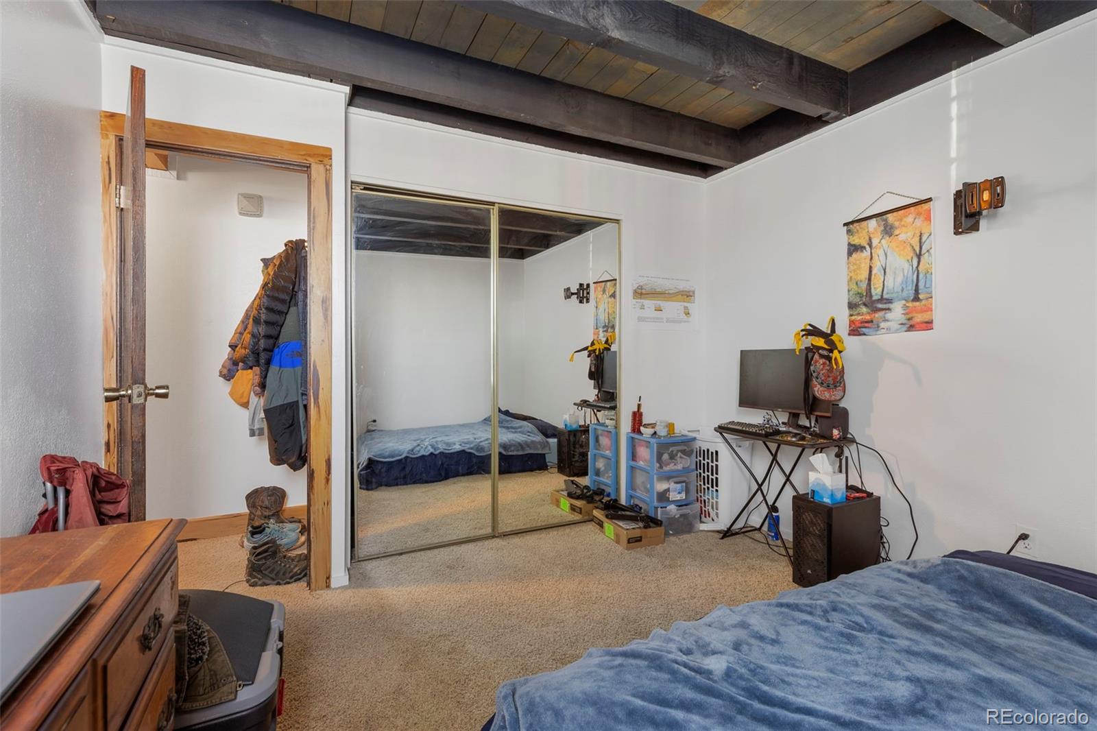 MLS Image #11 for 2100  lodge pole circle,silverthorne, Colorado