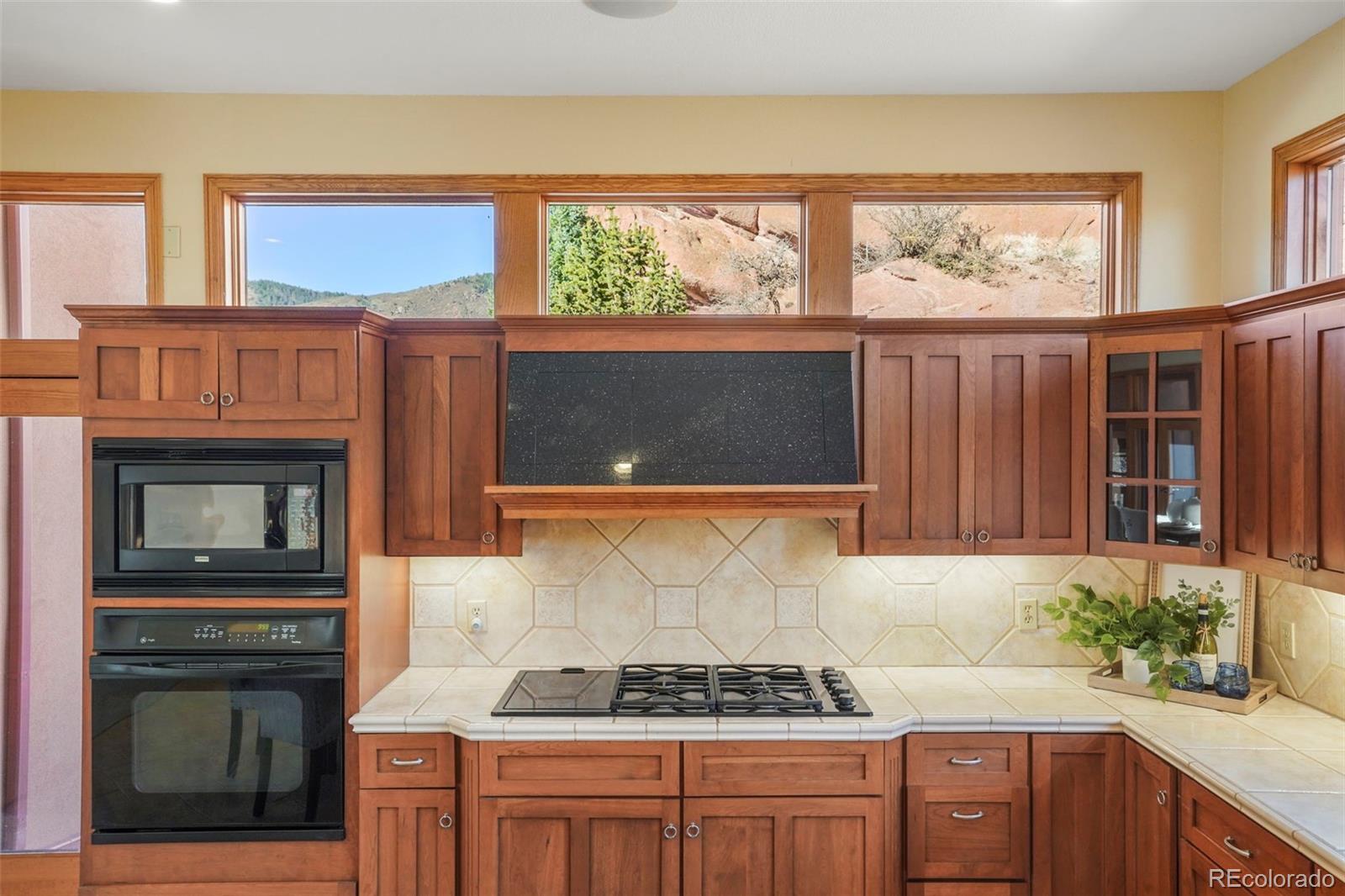 MLS Image #14 for 6273  torrey pines drive,larkspur, Colorado